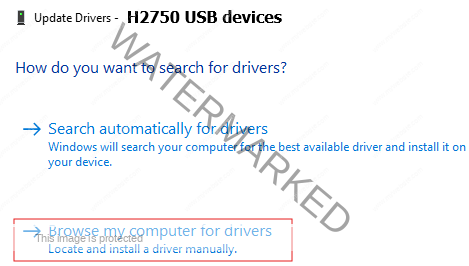 Browser USB driver