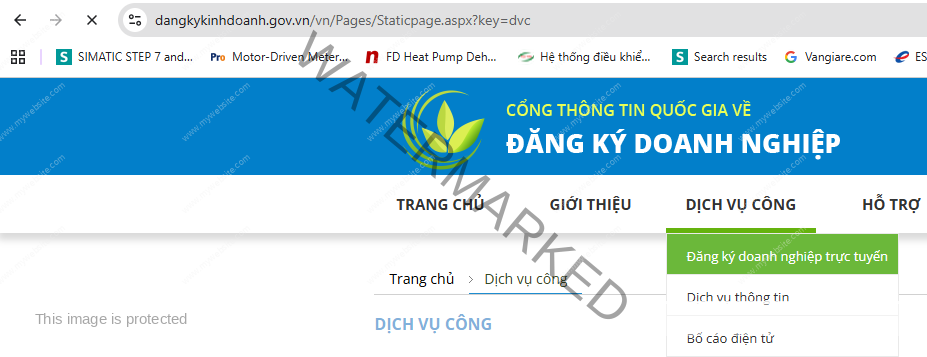Đăng ký doanh nghiệp trực tuyến